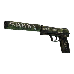 USP-S | Flashback (Well-Worn)