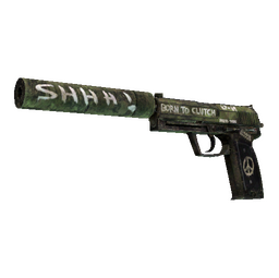 StatTrak™ USP-S | Flashback (Minimal Wear)