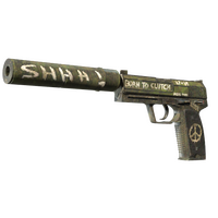 USP-S | Взгляд в прошлое