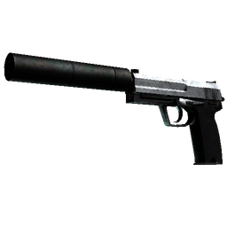 USP-S | Stainless (Battle-Scarred)