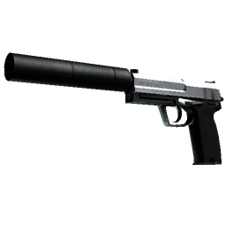 StatTrak™ USP-S | Stainless (Field-Tested)