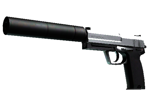 Image for the USP-S | Stainless weapon skin in Counter Strike 2