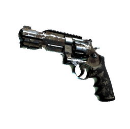 R8 Revolver | Desert Brush (Battle-Scarred)