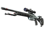 SSG 08 | Dezastre