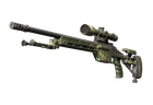 SSG 08 | Lichen Dashed