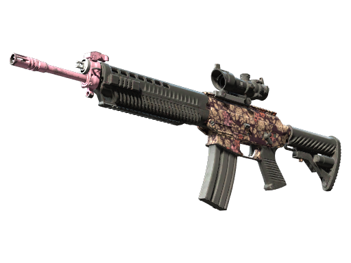 SG 553 | Desert Blossom (Field-Tested)