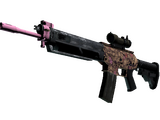 SG 553 | Desert Blossom