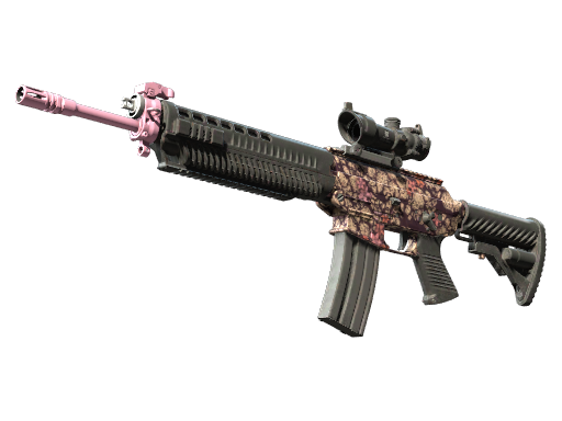 Souvenir SG 553 | Desert Blossom