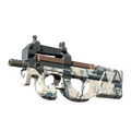 P90 | Schematic image 120x120