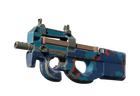 P90 | Blind Spot
