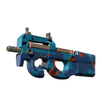P90 Blind Spot