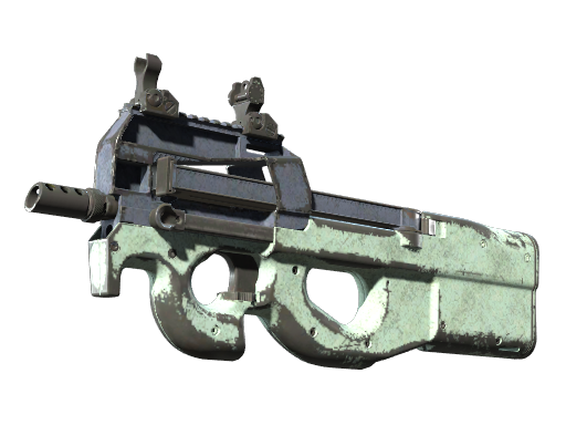 P90 | Storm (Battle-Scarred)