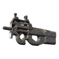 P90 Wash me