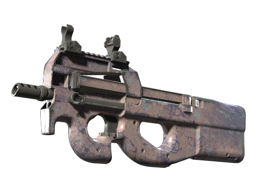 P90 | Wash me (Well-Worn)