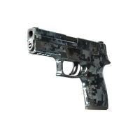 P250 Steel Disruption