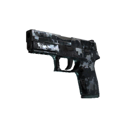 P250 | Steel Disruption (Field-Tested)