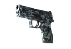 P250 | Steel Disruption