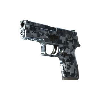 P250 | Steel Disruption image 360x360