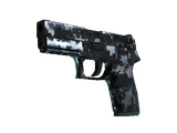 P250 | Steel Disruption