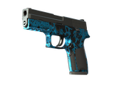 P250 | Цвета прибоя