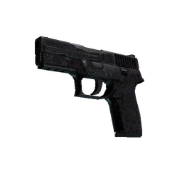 P250 | Dark Filigree (Well-Worn)