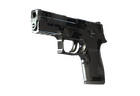 P250 | Metallic DDPAT