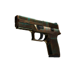 StatTrak™ P250 | Verdigris (Well-Worn)