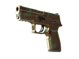 P250 | Ярь-медянка