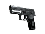 P250 | Cartel