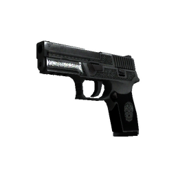 StatTrak™ P250 | Cartel (Battle-Scarred)