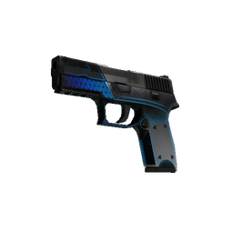 StatTrak™ P250 | Valence (Battle-Scarred)