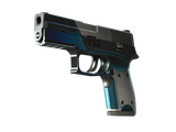 P250 | Валентность