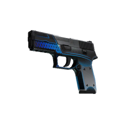 StatTrak™ P250 | Valence (Well-Worn)