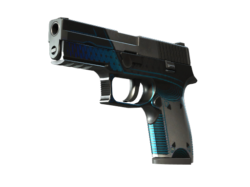 StatTrak™ P250 | Valence (Well-Worn)