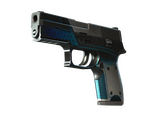 P250 | Валентность