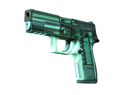 StatTrak™ P250 | X-Ray (Minimal Wear)