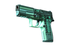 P250 | X-Ray