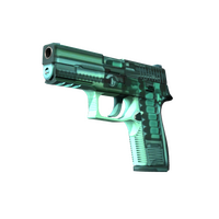 P250 X-Ray