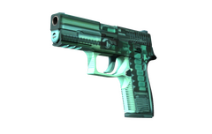 P250 | X-Ray