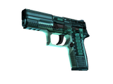 P250 | X-Ray