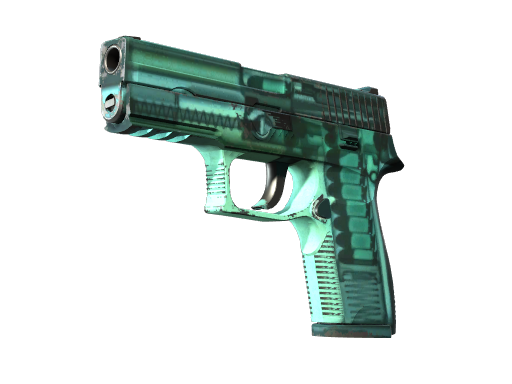 StatTrak™ P250 | X-Ray (Field-Tested)