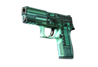 P250 | X-Ray