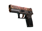 P250 | Mehndi