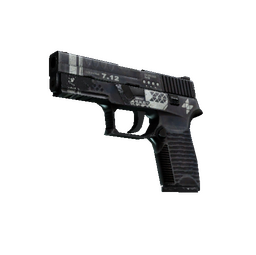 StatTrak™ P250 | Re.built (Battle-Scarred)