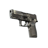 P250 Re.built