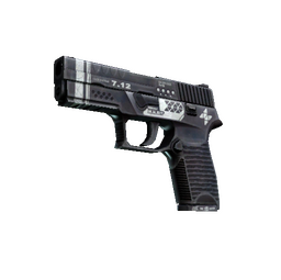 StatTrak™ P250 | Re.built (Factory New)