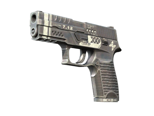 StatTrak™ P250 | Re.built (Minimal Wear)