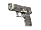 P250 | Ре.конструкция