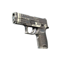 P250 | Ре.конструкция