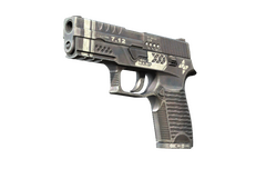 P250 | Re.built